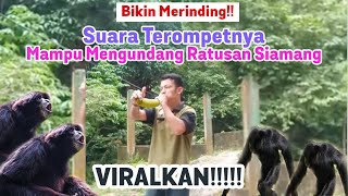 Download lagu This Man Calls Wild Gibbons with Trumpet mp3
