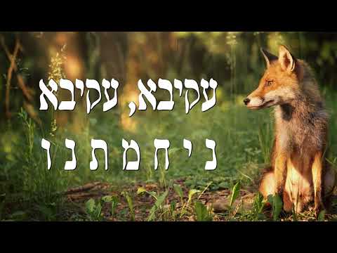 עקיבא ניחמתנו/ ברוך לוין |  Akiva Nichamtanu/ Baruch Levin |  מתורגם לעברית | translated to Hebrew
