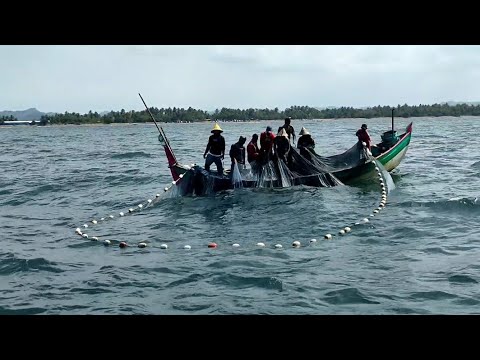WoW Amazing!! Net Fishing, Fishing Boat Catch a Lot of Fish on The Sea Big Catch