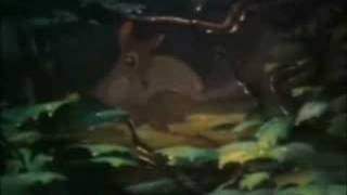 Bambi - Never Alone (Eeyore&#39;s Lullaby)