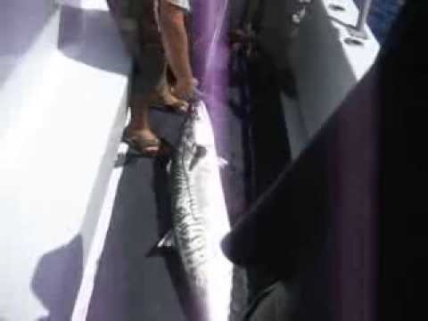 Miami Beach Fishing aziz