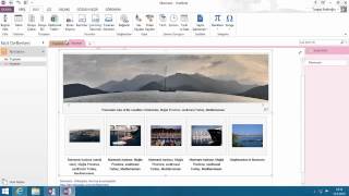 OneNote ile Toplantı Notları Almak