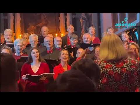 Lichtje Branden - Suzan & Freek