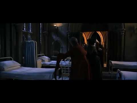 Harry Potter and The Chamber of Secrets | Colin petrified