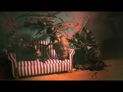 Lunar C | Shnaffleberry