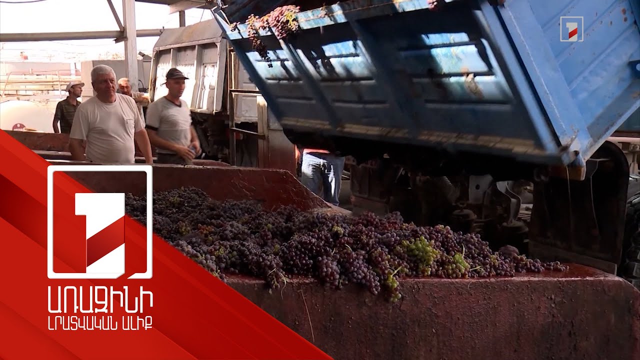 Նախատեսվում է, որ 2025-ին կմթերվի մոտ 200 հազար տոննա խաղող. Գևորգ Պապոյան