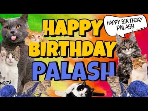 Happy Birthday Palash! Crazy Cats Say Happy Birthday Palash (Very Funny)