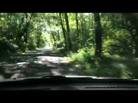 Drive into the camping area from the front gate