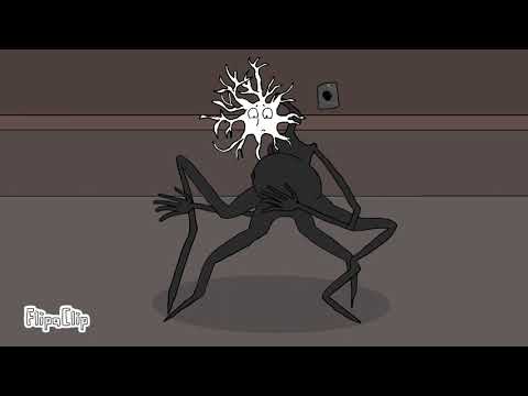 Dr Nowhere long boy bombside Inflation