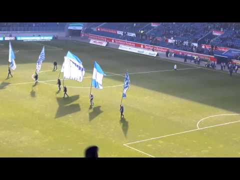 Msv Duisburg Zebratwist