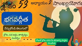 Bhagavad Gita chapter 2 verse 53||sankyayoga|| భగవద్గీత 2వ అధ్యాయం శ్లోకం 53|| divine touch telugu