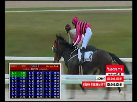 Amatőrverseny HP 1600m