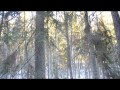Pocahontas Colours Of A Wind Swedish