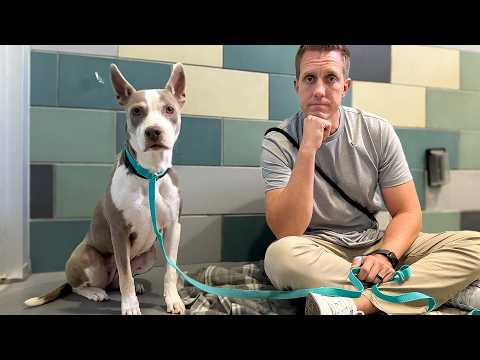 Her Mom Passed and She Waited Days, until this happened...😔