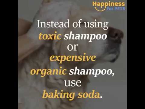 baking soda for pet owners