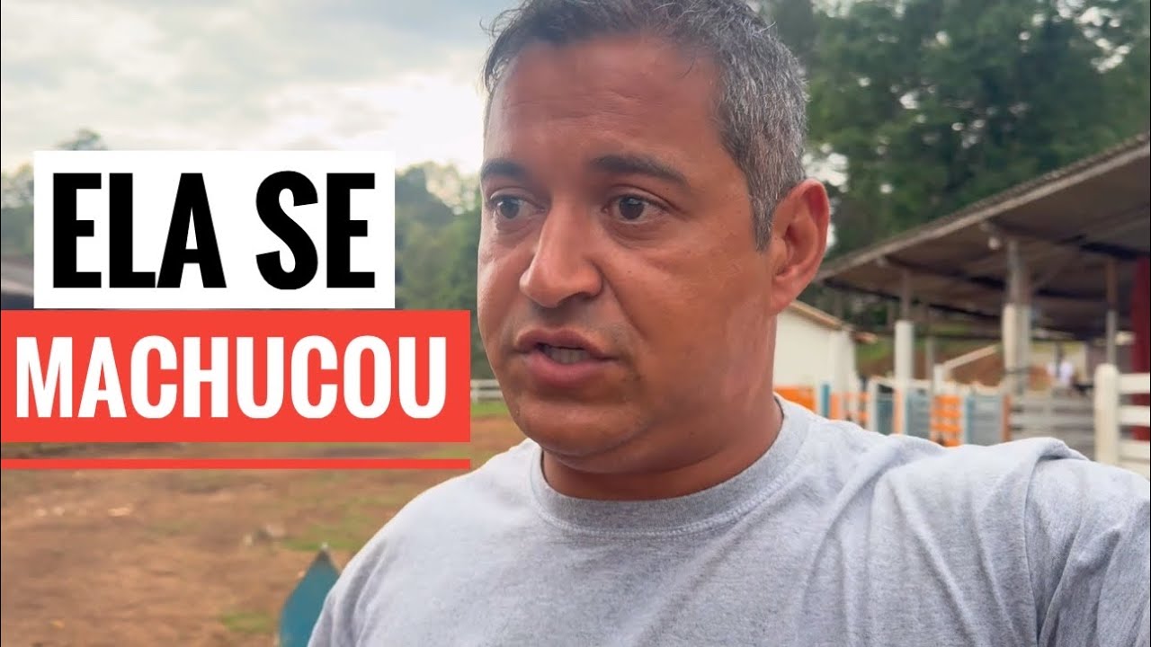 OLHA O QUE ACONTECEU COM O SÍTIO QUANDO ESTIVE AUSENTE