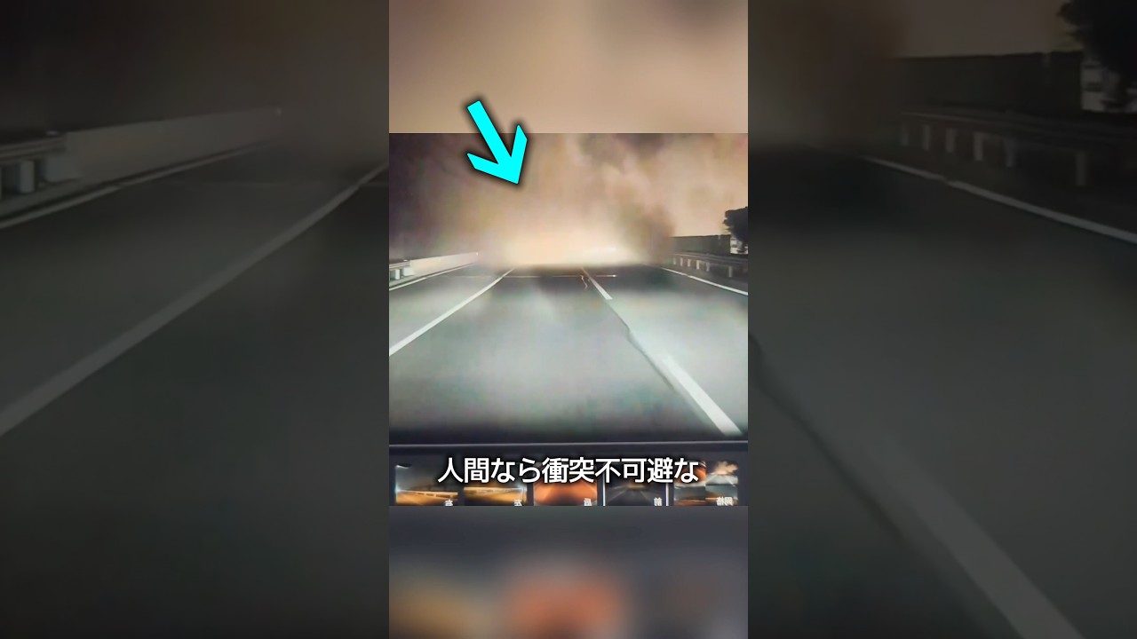 テスラが避けれた理由