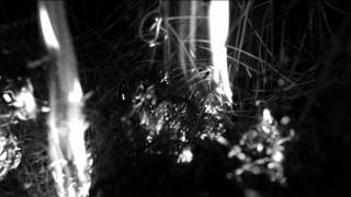 Nikolaj Nørlund: Ned Til Søen - Tue Track Remix