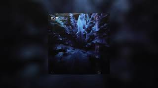 Hum – If You Are To Bloom
