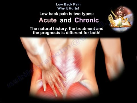 Low Back Pain Why It Hurts - Everything You Need To Know - Dr. Nabil Ebraheim