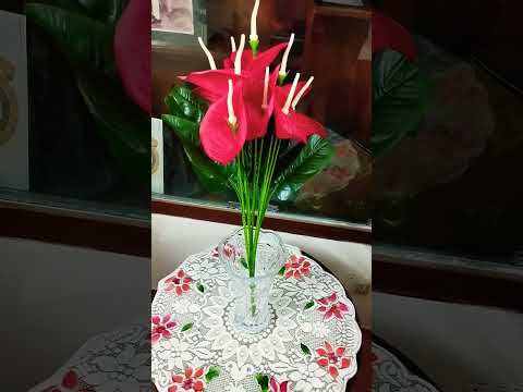 beautiful Rose 🌹 Subha ka hprider viju