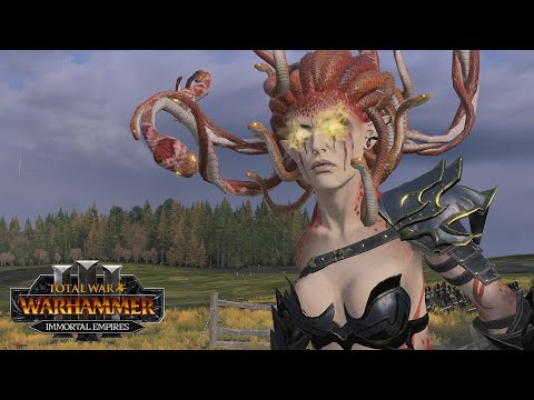 I Never Use This - Dark Elves vs Beastmen | BBB Season 1 // Total War: WARHAMMER 3