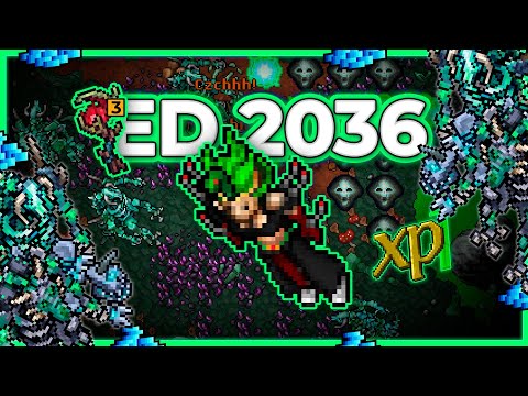 ED 2036 Hunt Solo Forsaken Crypt 18.5kk Raw + 2.9kk Profit - Tibia Hunt [15.13]