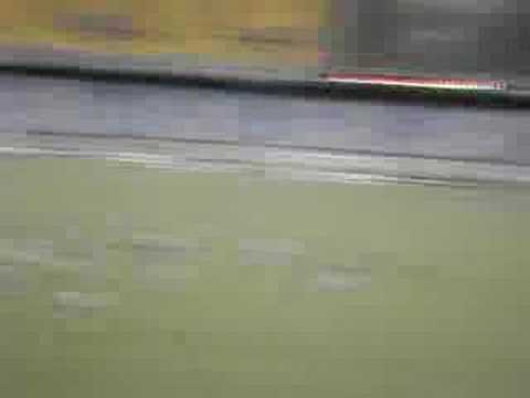 GOLAÇO DO GABRIEL - FLUZÃO 5 x 2 Friburguense