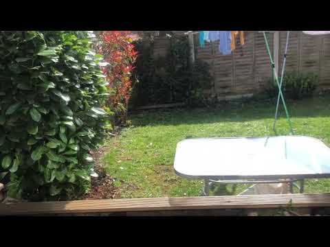 Rental - Rochester Court, Horbury - Virtual Tour