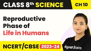 Reproductive Phase of Life in Humans - Reaching the Age of Adolescence | Class 8 Science Chapter 10