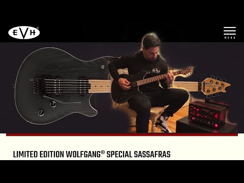 EVH Limited Edition Wolfgang Special Sassafras and 5150 III LBX Stealth REVIEW!!!