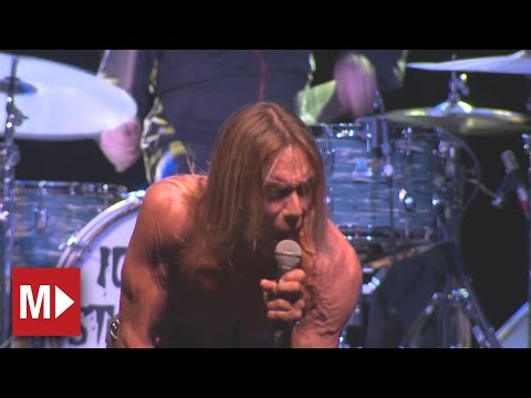 Iggy and the Stooges | Johanna | Live in Sydney