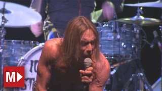 Iggy and the Stooges | Johanna | Live in Sydney