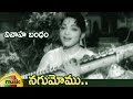 NTR Hit Songs Nagumomu Video Song Vivaha Bandham Telugu Movie Bhanumathi Mango Music