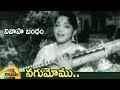 NTR Hit Songs | Nagumomu Video Song | Vivaha Bandham Telugu Movie | Bhanumathi | Mango Music