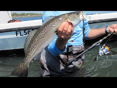 Lov pstruhů s kapitánem Blairem z Addictive Fishing