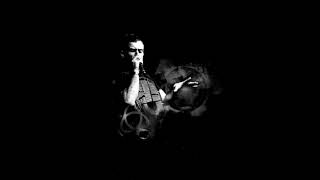 REMASTER - DUB FX - Birds and the Bees
