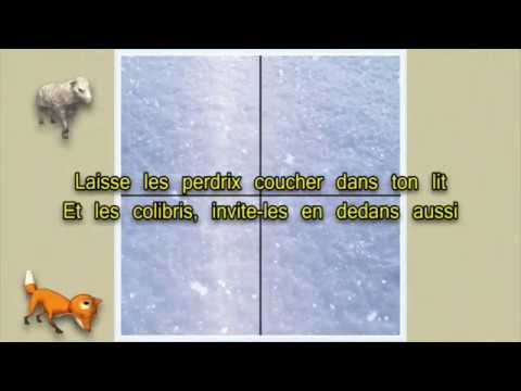 Video thumbnail for Invite les animaux dans ta maison