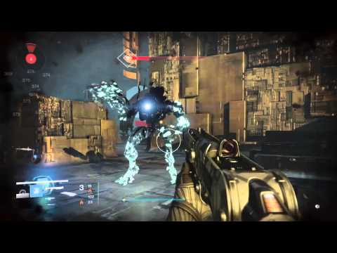 Echo of Oryx venus solo