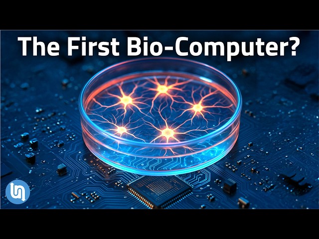 How Living Computers Could Change Everything | Magica