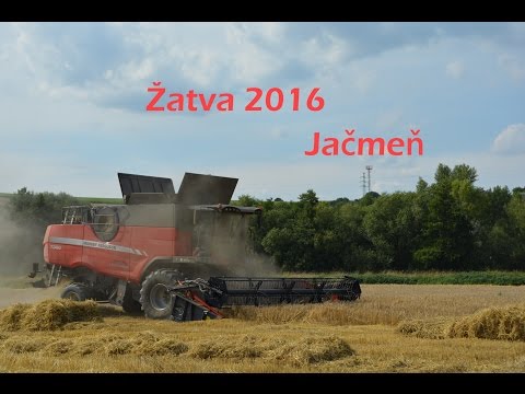 Žatva 2016 (Jačmeň) (PDP Velké Uherce)