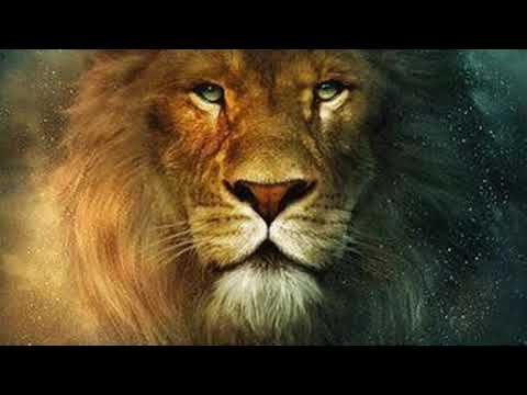 (O ESCUDO) Por toda minha vida o Senhor te Louvarei
