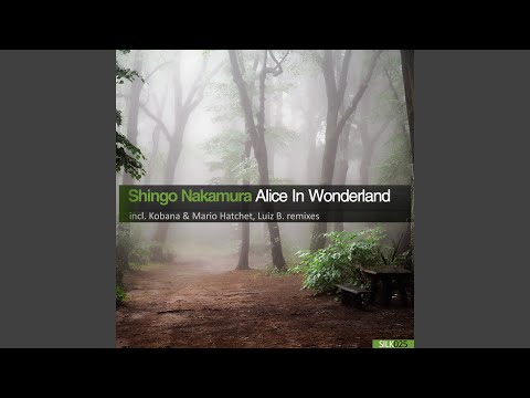Alice In Wonderland (Kobana & Mario Hatchet Remix)