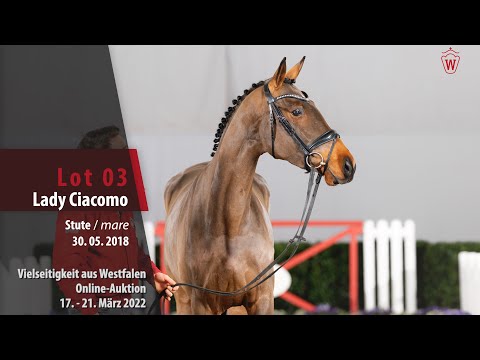 Vielseitigkeit Online-Auktion Lot 3 Lady Ciacomo Stute v. Ciacomo - Exclusiv/T.