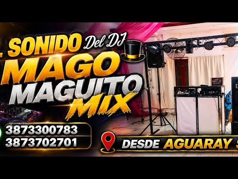 🎉 Así vivimos un increíble cumpleaños de 15 con MAGO MAGUITO MIX DJ 🎩