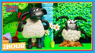 TIMMY'S GOT AN IDENTICAL TWIN?! | Timmy & Friends