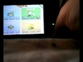 Angry Birds Trilig Hogs And Kisses Fail