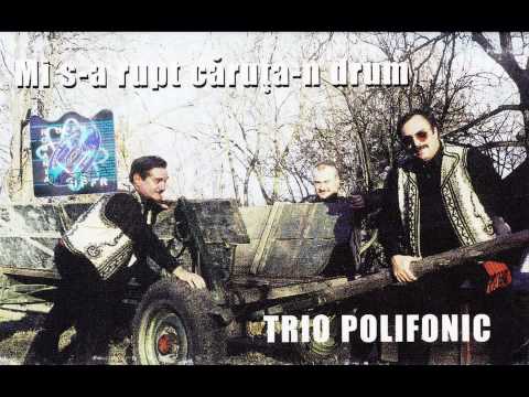 Trio Polifonic - Mi s-a rupt caruta-n drum