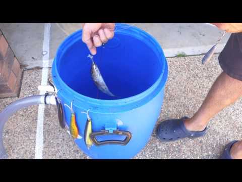 Live bait tank
