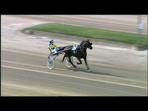 Napoli Trotto 30/04/2021 - prova di riqualifica